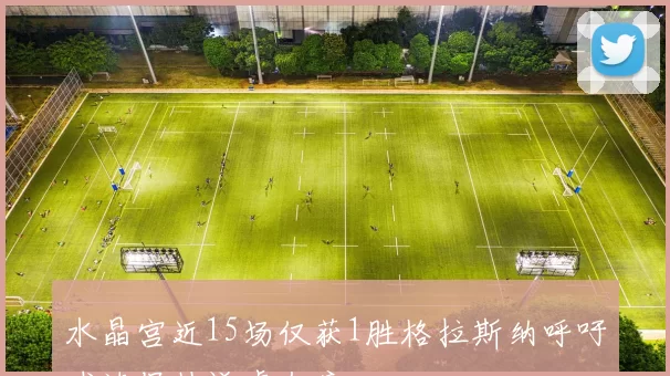 水晶宫近15场仅获1胜格拉斯纳呼吁球迷保持谦虚态度
