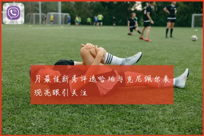 月最佳新秀评选哈珀与克尼佩尔表现亮眼引关注
