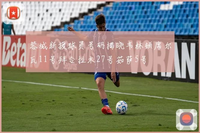 蓉城新援球员号码揭晓韦林顿席尔瓦11号拜合拉木27号茹萨5号