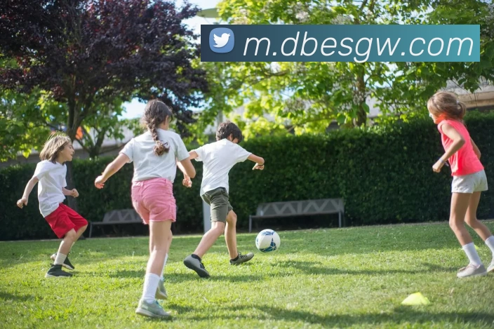 db电竞官网app品牌故事